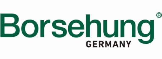 Borsehung